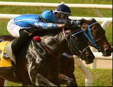 Corrida 01/08/24