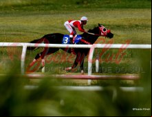 Corrida 08/02/24