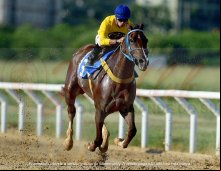 Corrida 14/03/24
