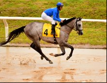 Corrida 16/01/25