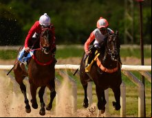 Corrida 17/10/24