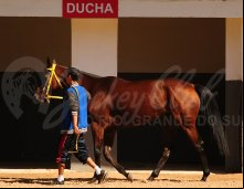 Corrida 18/04/24