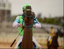 Corrida 21/03/24