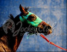 Corrida 22/02/24 