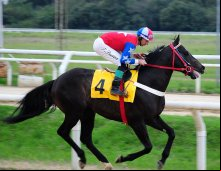 Corrida 22/08/24