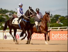 Corrida 23/11/23 