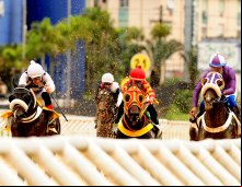 Corrida 24/10/24