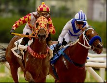 Corrida 28/11/24