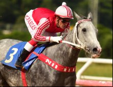 Corrida 30/11/23 